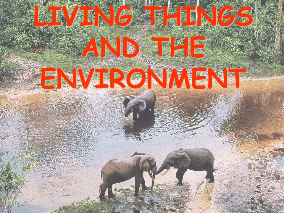 LIVING THINGS AND THE ENVIRONMENT