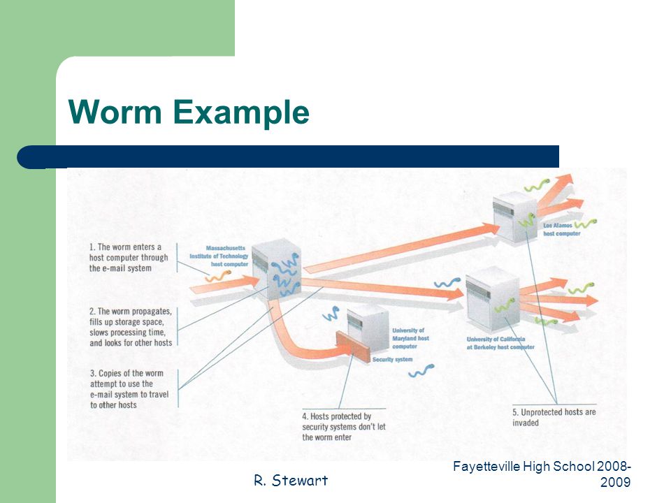 R. Stewart Fayetteville High School Worm Example