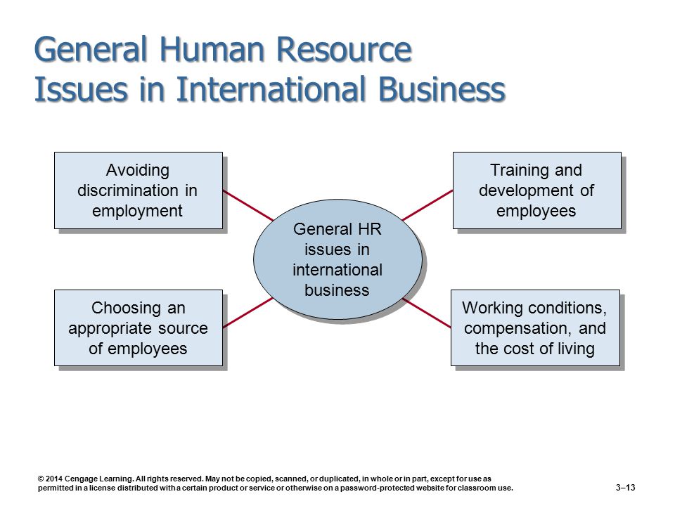 General Human Resource Issues in International Business © 2014 Cengage Learning.