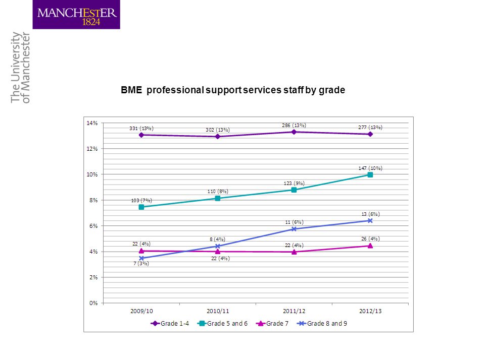 BME professional support services staff by grade