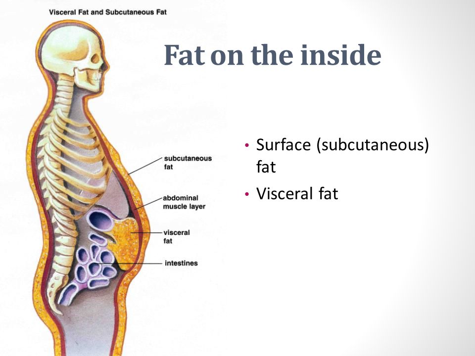 Fat on the inside Surface (subcutaneous) fat Visceral fat