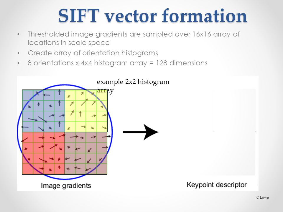 SIFT vector formation SIFT vector formation Thresholded image gradients are sampled over 16x16 array of locations in scale space Create array of orientation histograms 8 orientations x 4x4 histogram array = 128 dimensions © Lowe example 2x2 histogram array