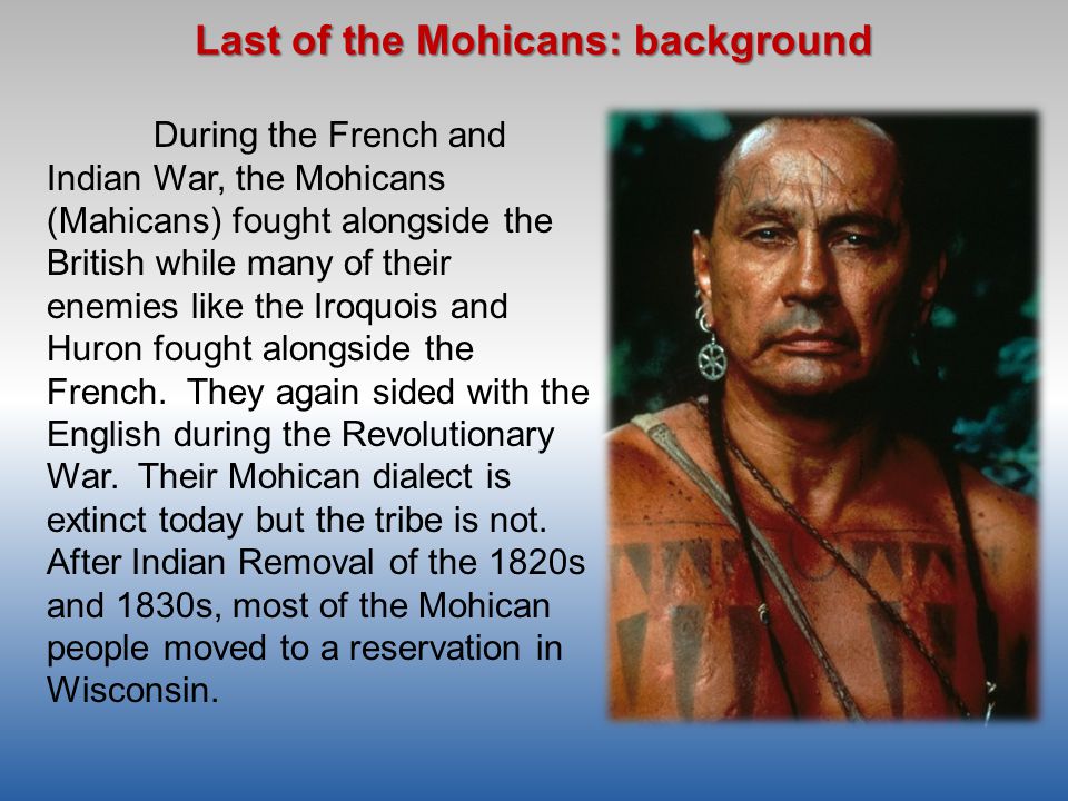 Essay last mohicans