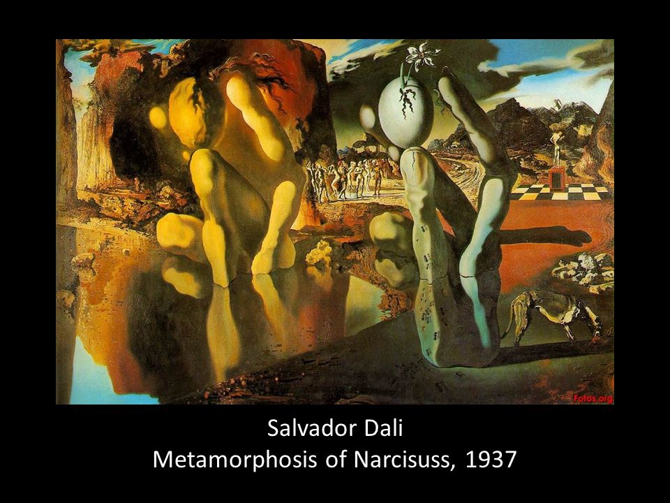 Salvador Dali Metamorphosis of Narcisuss, 1937
