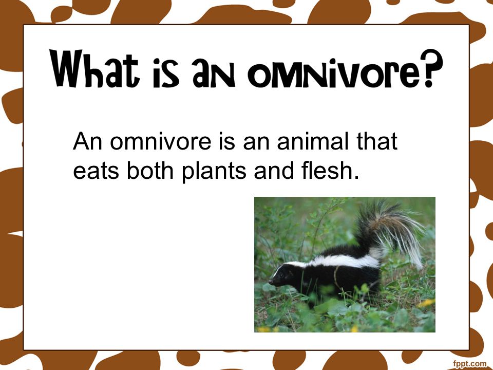 An omnivore is an animal that eats both plants and flesh.