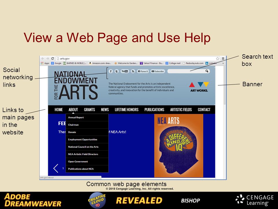 View a Web Page and Use Help Social networking links Search text box Banner Links to main pages in the website Common web page elements