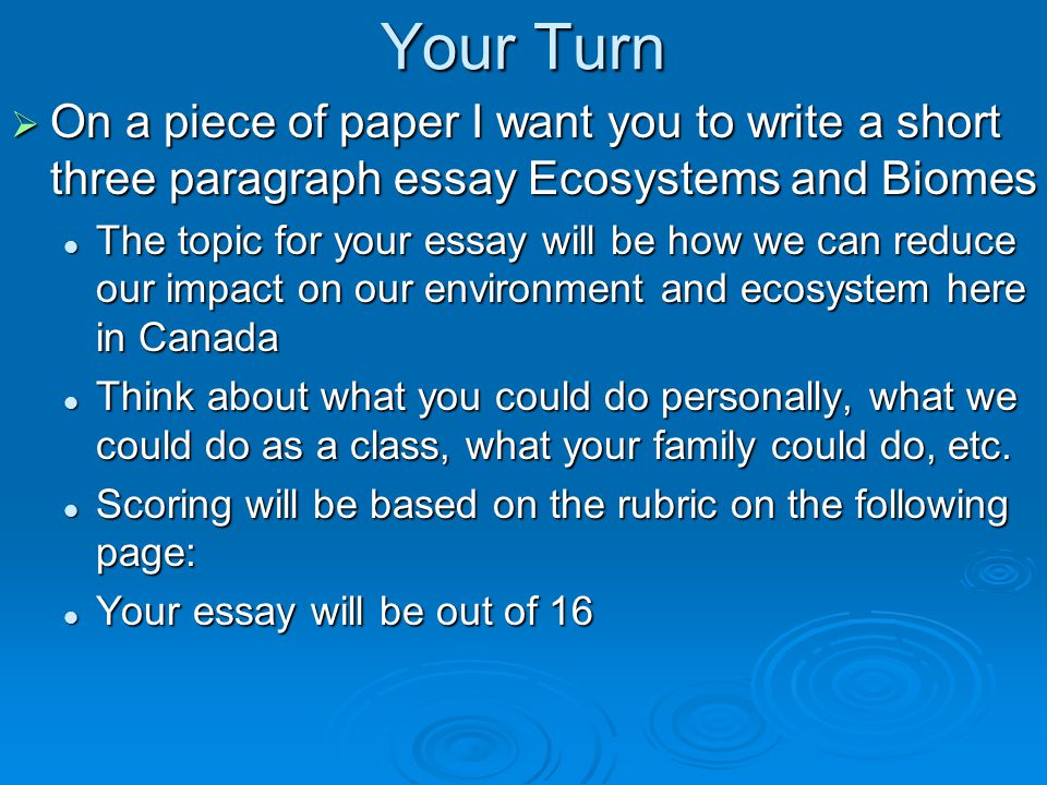ecosystems and how they work essay Ecosystems and how they work choose 1 of the following ecosystems: tropical rainforest grassland coral reef estuary desert. ecosystems and how they work essay Ecosystems and how they work choose 1 of the following ecosystems: tropical rainforest grassland coral reef estuary desert.