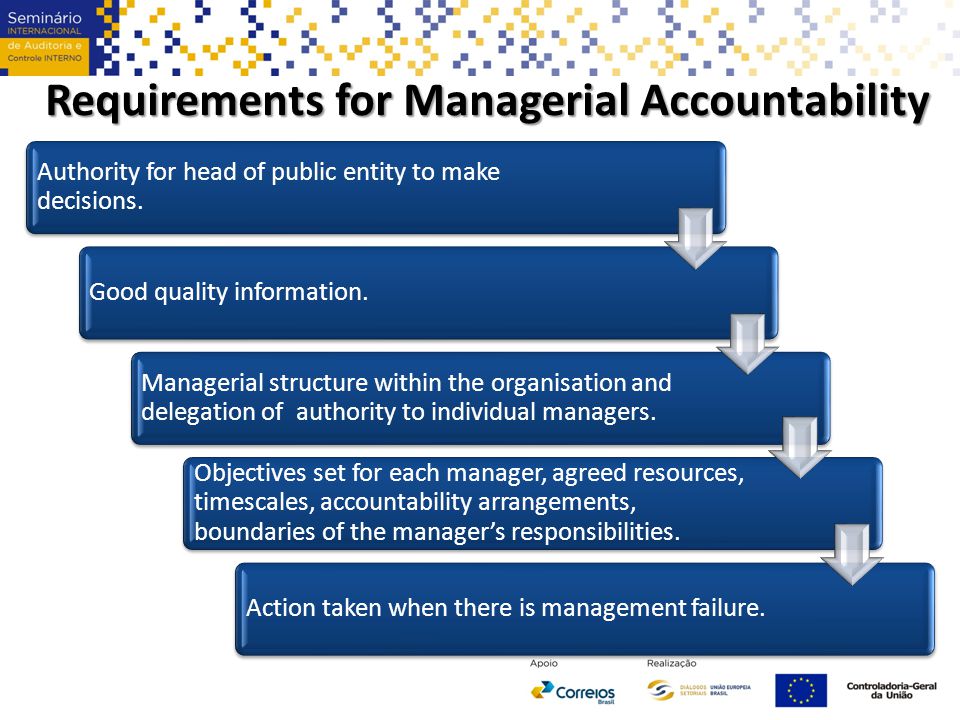Requirements for Managerial Accountability Authority for head of public entity to make decisions.
