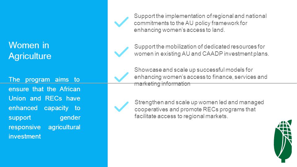 Women in Agriculture The program aims to ensure that the African Union and RECs have enhanced capacity to support gender responsive agricultural investment Support the implementation of regional and national commitments to the AU policy framework for enhancing women’s access to land.