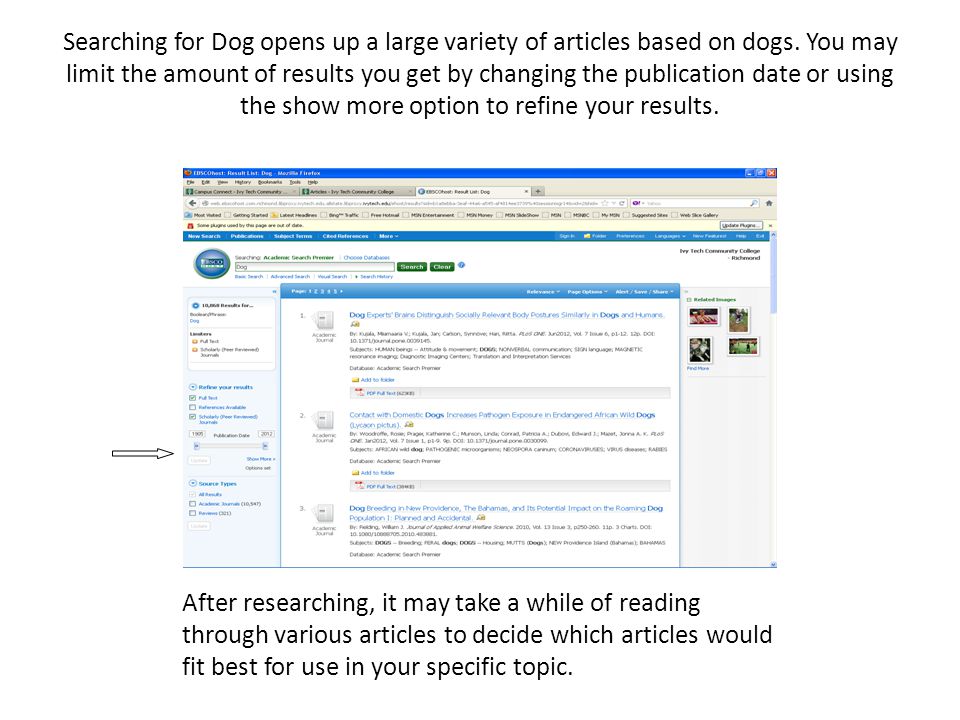 Searching for Dog opens up a large variety of articles based on dogs.
