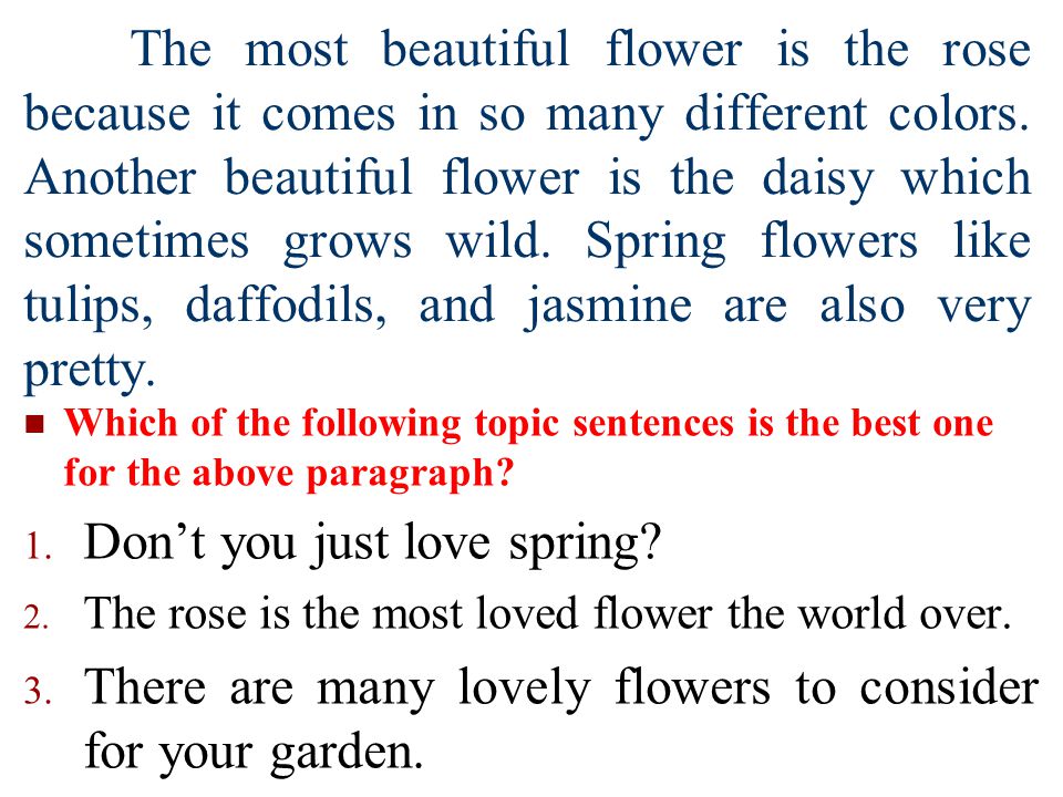 descriptive essay on a rose descriptive essay on a rose