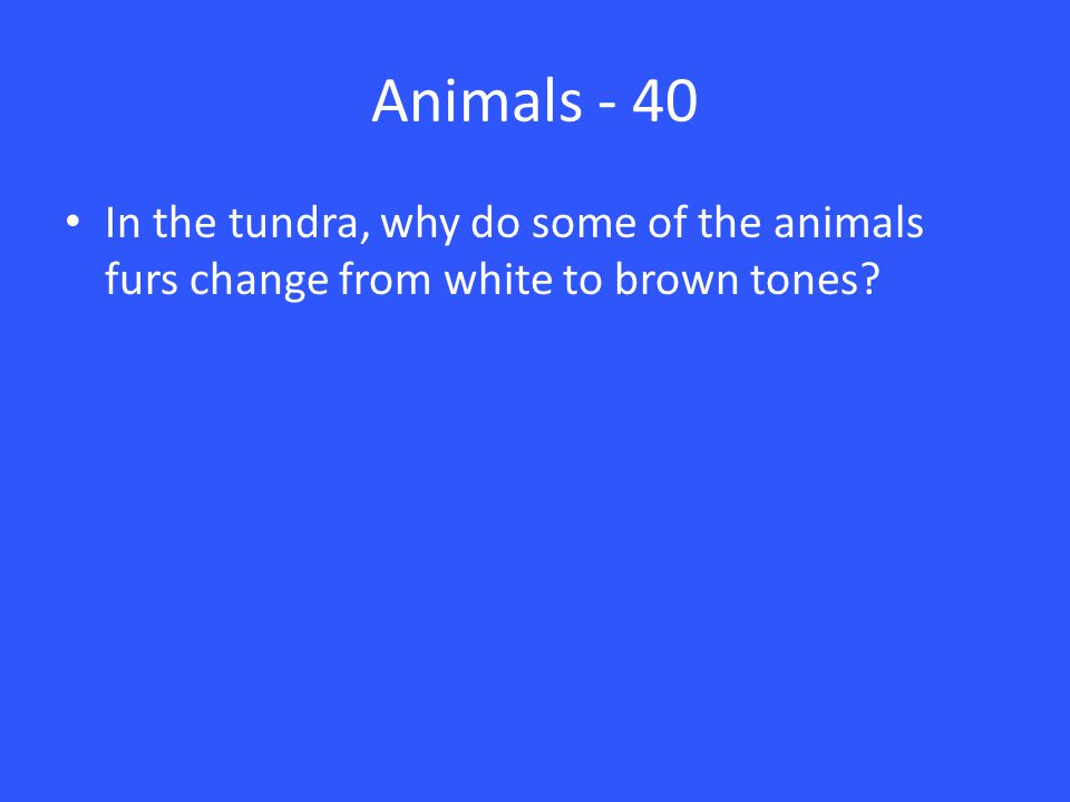 Animals - 40 In the tundra, why do some of the animals furs change from white to brown tones