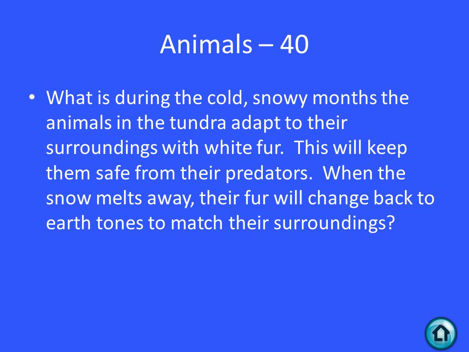 Animals – 40 What is during the cold, snowy months the animals in the tundra adapt to their surroundings with white fur.