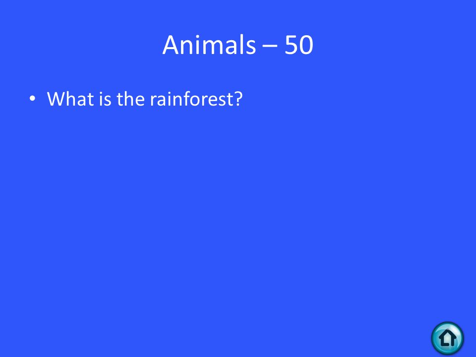 Animals – 50 What is the rainforest