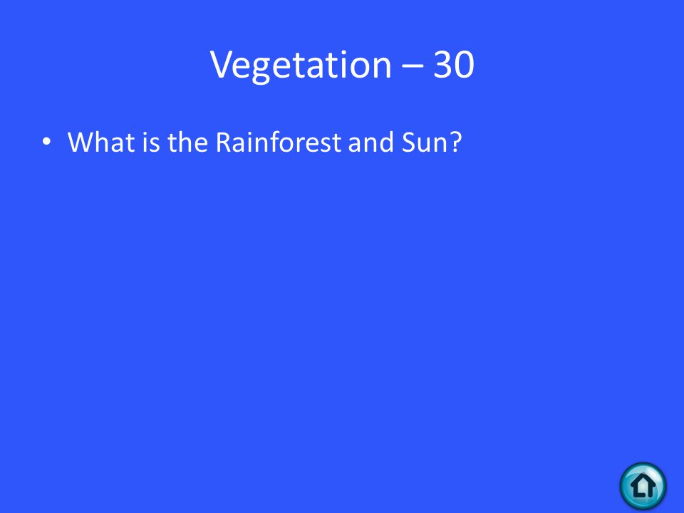 Vegetation – 30 What is the Rainforest and Sun