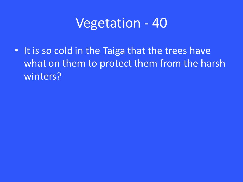 Vegetation - 40 It is so cold in the Taiga that the trees have what on them to protect them from the harsh winters