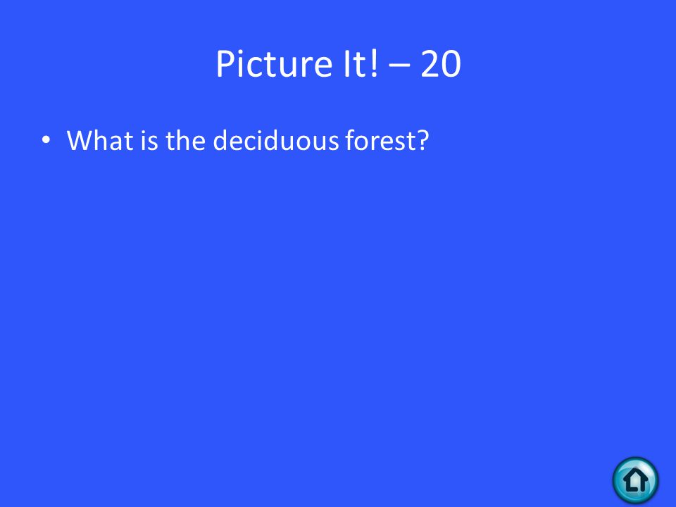 Picture It! – 20 What is the deciduous forest