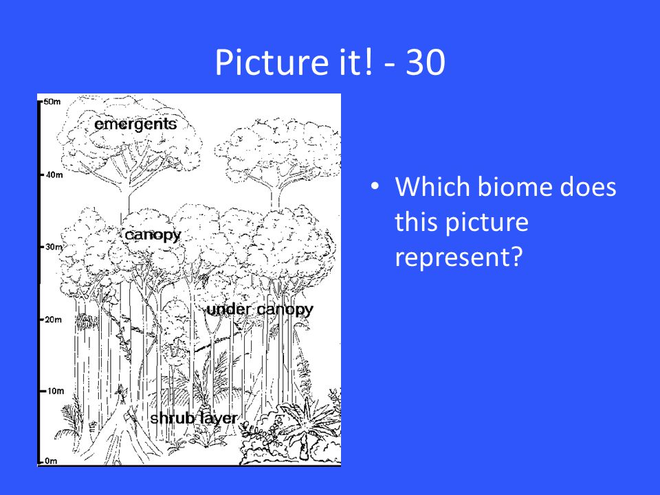 Picture it! - 30 Which biome does this picture represent
