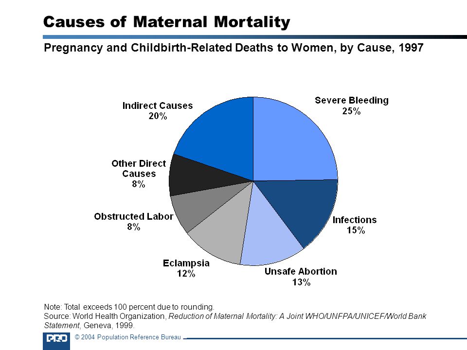 © 2004 Population Reference Bureau Pregnancy and Childbirth-Related Deaths to Women, by Cause, 1997 Causes of Maternal Mortality Note: Total exceeds 100 percent due to rounding.