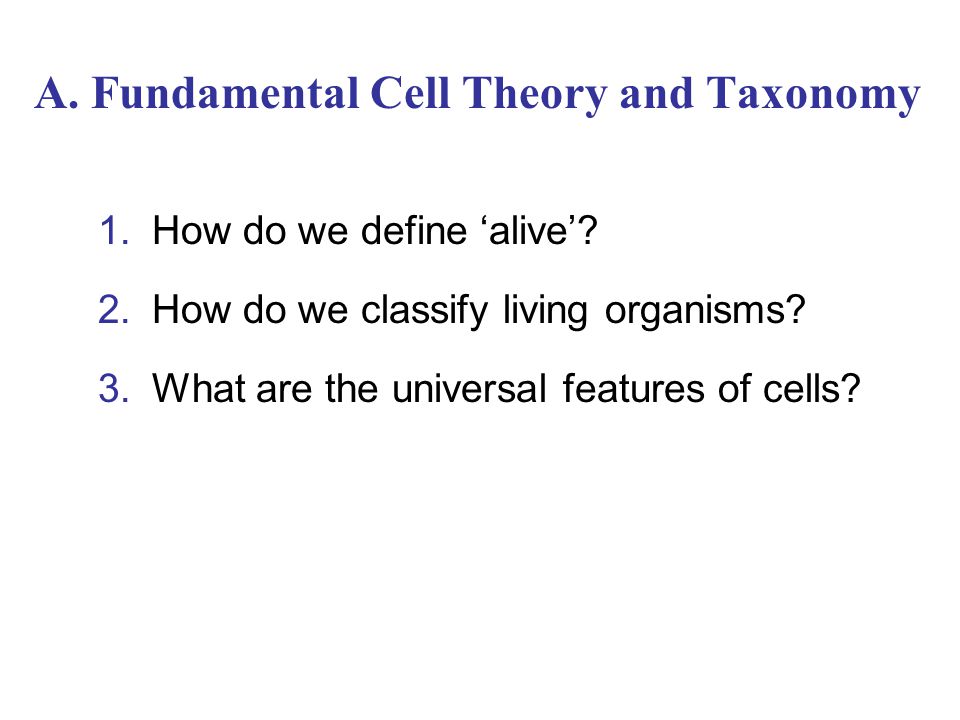cell theory definition