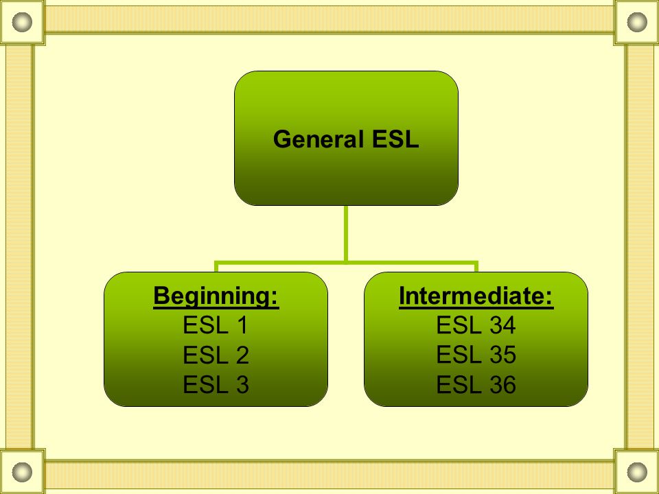ESL Department Programs 1.General 2.Academic 3.Special Topics 4.Vocational ESL 5.Citizenship 6.INEA (Spanish Literacy) ESL