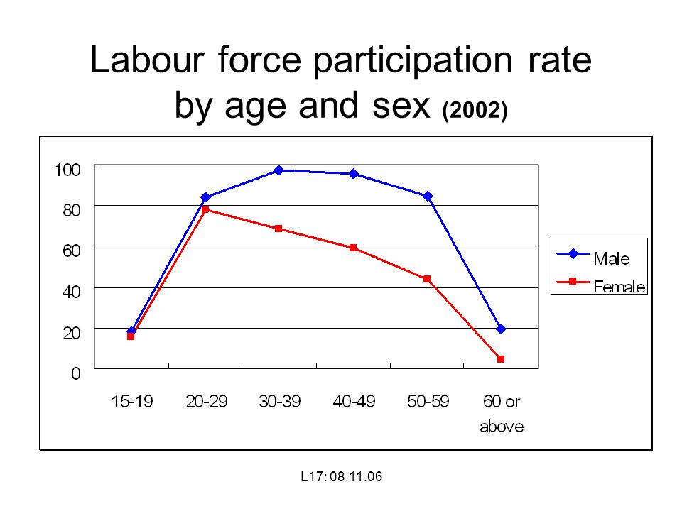 L17: Labour force participation rate by age and sex (2002)