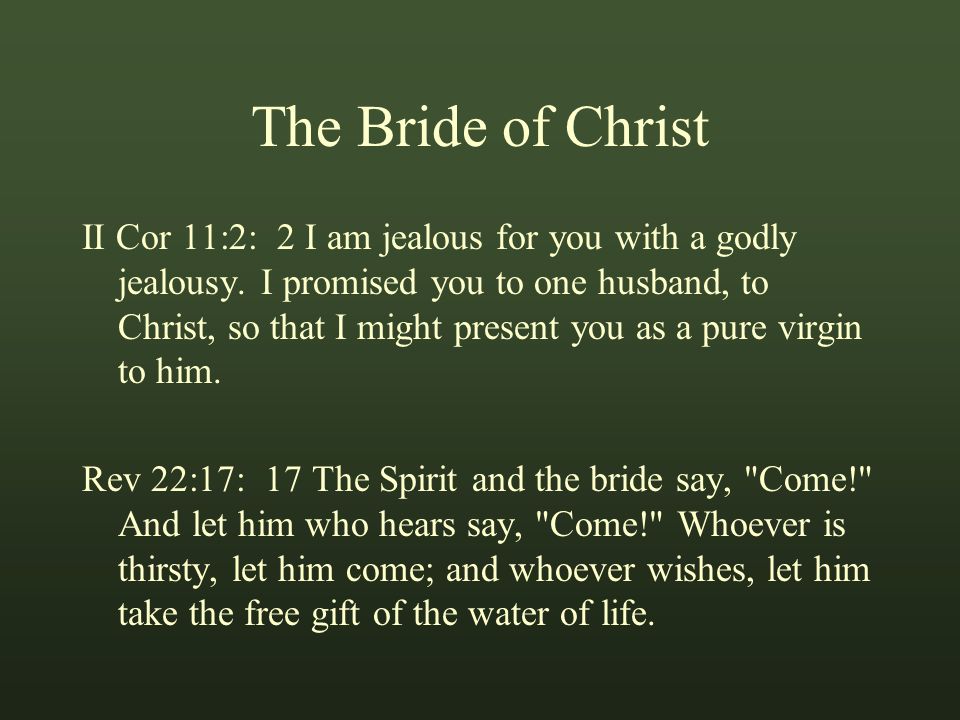 The Bride of Christ II Cor 11:2: 2 I am jealous for you with a godly jealousy.