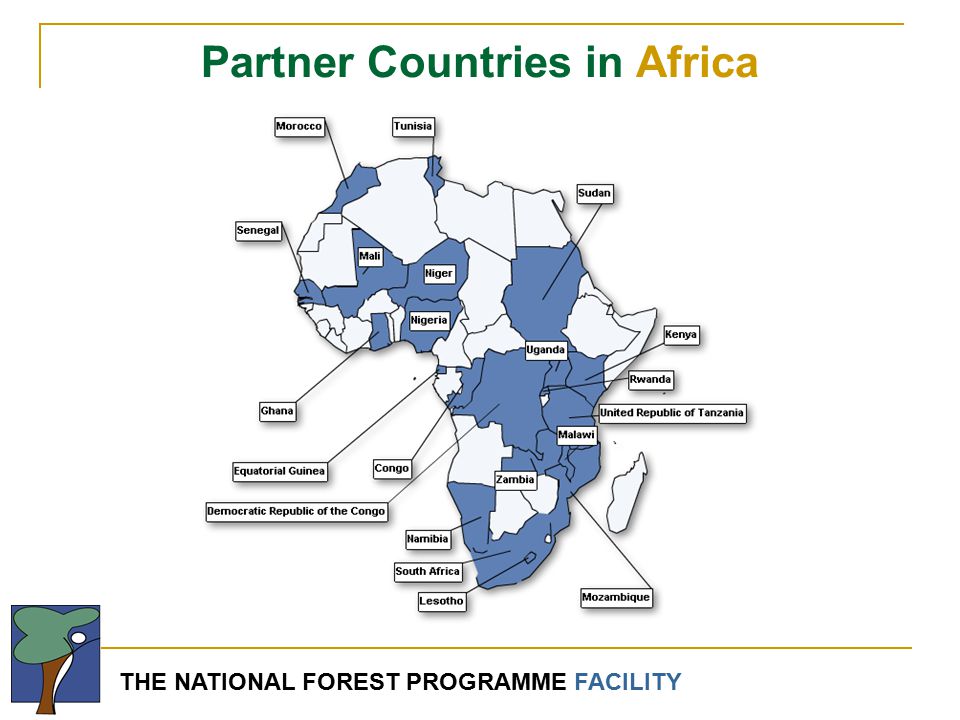 THE NATIONAL FOREST PROGRAMME FACILITY Partner Countries in Africa