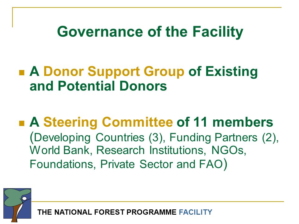 THE NATIONAL FOREST PROGRAMME FACILITY A Donor Support Group of Existing and Potential Donors A Steering Committee of 11 members ( Developing Countries (3), Funding Partners (2), World Bank, Research Institutions, NGOs, Foundations, Private Sector and FAO ) Governance of the Facility
