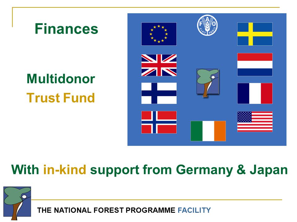 THE NATIONAL FOREST PROGRAMME FACILITY Multidonor Trust Fund With in-kind support from Germany & Japan Finances