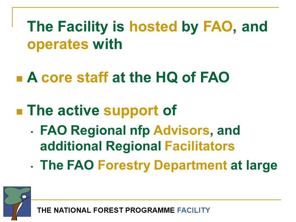 THE NATIONAL FOREST PROGRAMME FACILITY The Facility is hosted by FAO, and operates with A core staff at the HQ of FAO The active support of FAO Regional nfp Advisors, and additional Regional Facilitators The FAO Forestry Department at large