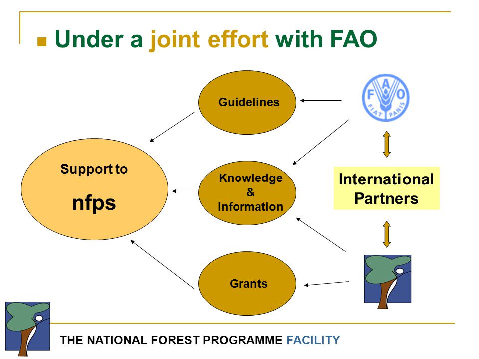 THE NATIONAL FOREST PROGRAMME FACILITY Support to nfps Guidelines Knowledge & Information Grants International Partners Under a joint effort with FAO