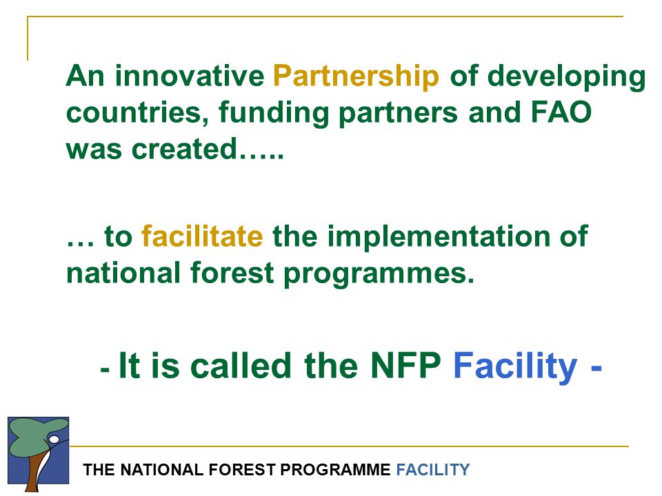 THE NATIONAL FOREST PROGRAMME FACILITY An innovative Partnership of developing countries, funding partners and FAO was created…..