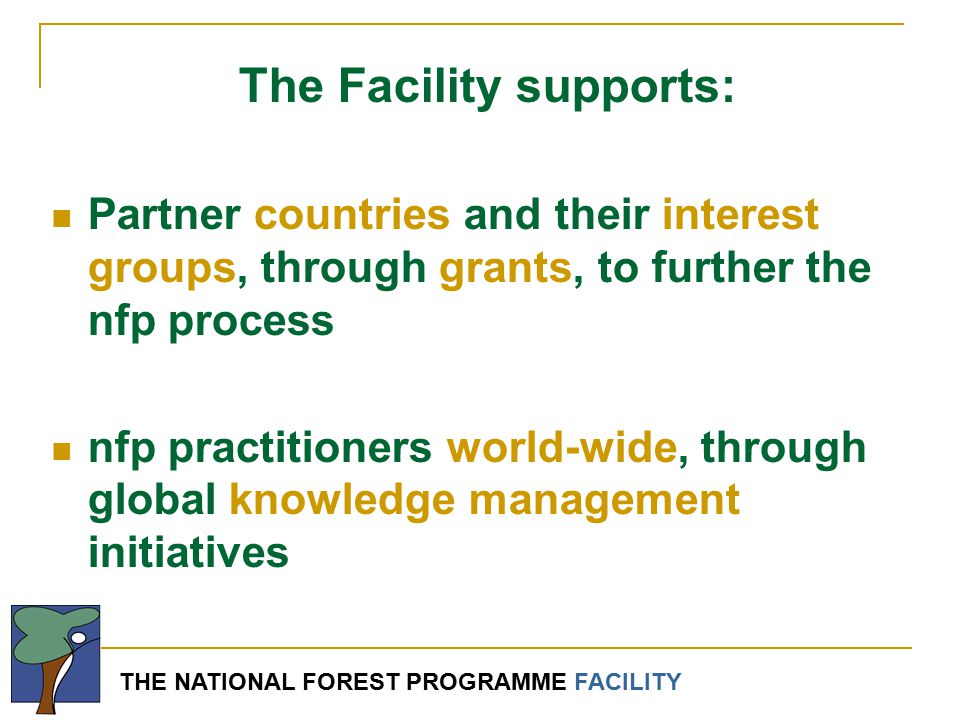 THE NATIONAL FOREST PROGRAMME FACILITY The Facility supports: Partner countries and their interest groups, through grants, to further the nfp process nfp practitioners world-wide, through global knowledge management initiatives