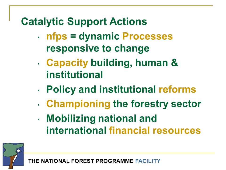 THE NATIONAL FOREST PROGRAMME FACILITY Catalytic Support Actions nfps = dynamic Processes responsive to change Capacity building, human & institutional Policy and institutional reforms Championing the forestry sector Mobilizing national and international financial resources