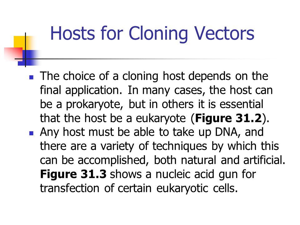 Hosts for Cloning Vectors The choice of a cloning host depends on the final application.