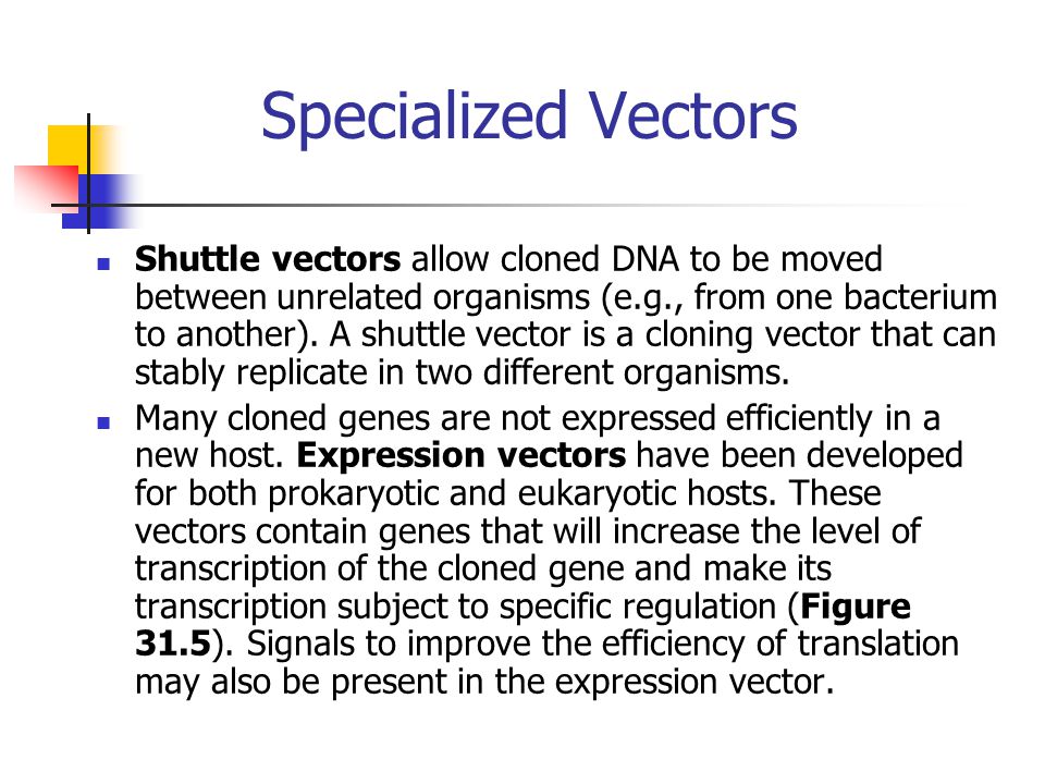 Specialized Vectors Shuttle vectors allow cloned DNA to be moved between unrelated organisms (e.g., from one bacterium to another).
