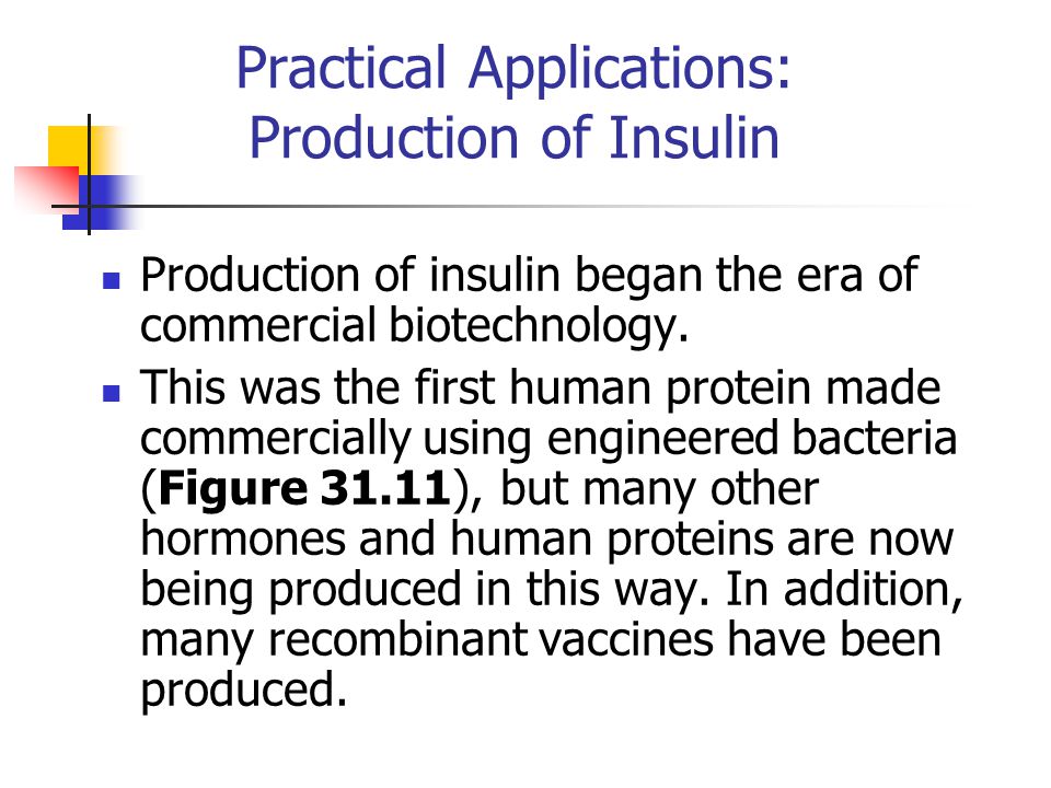 Practical Applications: Production of Insulin Production of insulin began the era of commercial biotechnology.