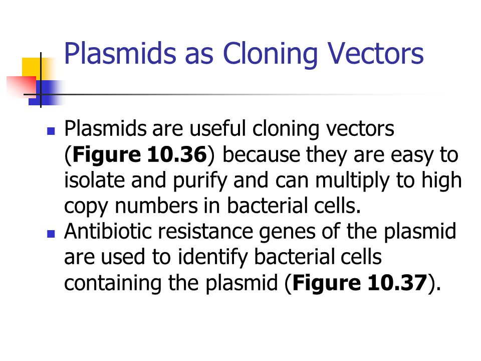 Plasmids as Cloning Vectors Plasmids are useful cloning vectors (Figure 10.36) because they are easy to isolate and purify and can multiply to high copy numbers in bacterial cells.