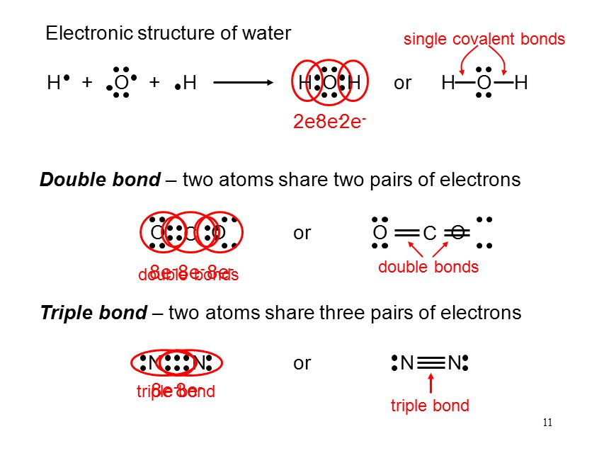 11 8e - H H O ++ O HH O HHor 2e - Electronic structure of water Double bond – two atoms share two pairs of electrons single covalent bonds O C O or O C O 8e - double bonds Triple bond – two atoms share three pairs of electrons N N 8e - N N triple bond or