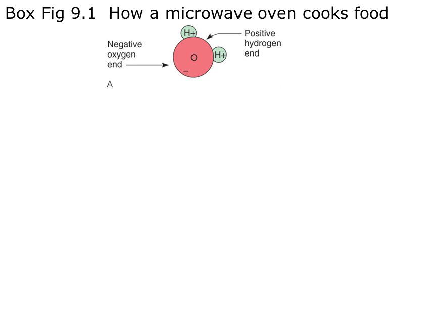 Box Fig 9.1 How a microwave oven cooks food