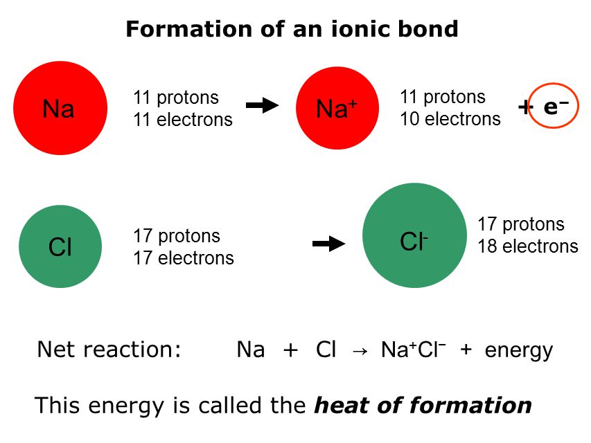 Na 11 protons 11 electrons Na + 11 protons 10 electrons Cl 17 protons 17 electrons Cl - 17 protons 18 electrons Formation of an ionic bond + e − Net reaction: Na + Cl → Na + Cl − + energy This energy is called the heat of formation