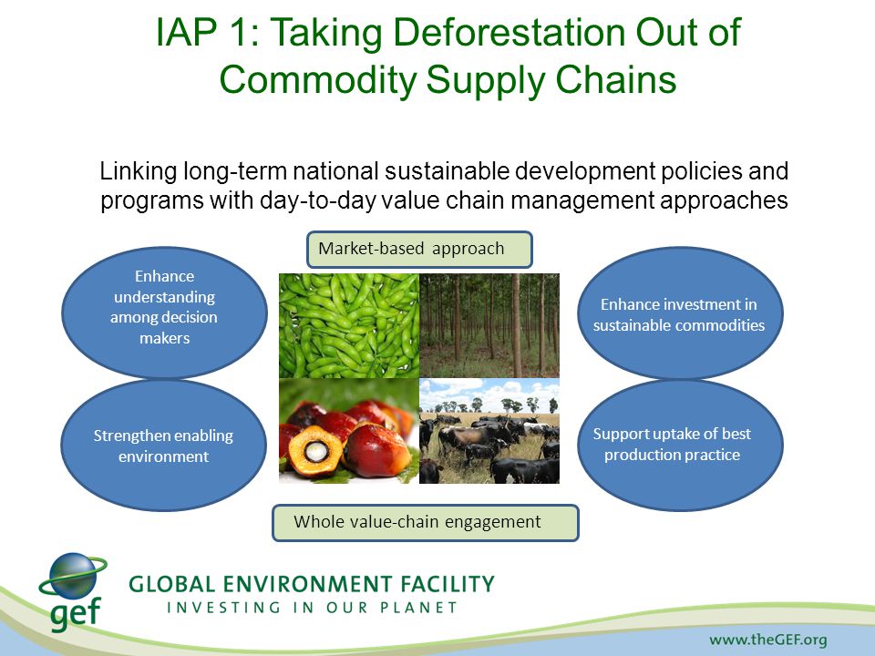 IAP 1: Taking Deforestation Out of Commodity Supply Chains Linking long-term national sustainable development policies and programs with day-to-day value chain management approaches Enhance understanding among decision makers Strengthen enabling environment Support uptake of best production practice Enhance investment in sustainable commodities Market-based approach Whole value-chain engagement