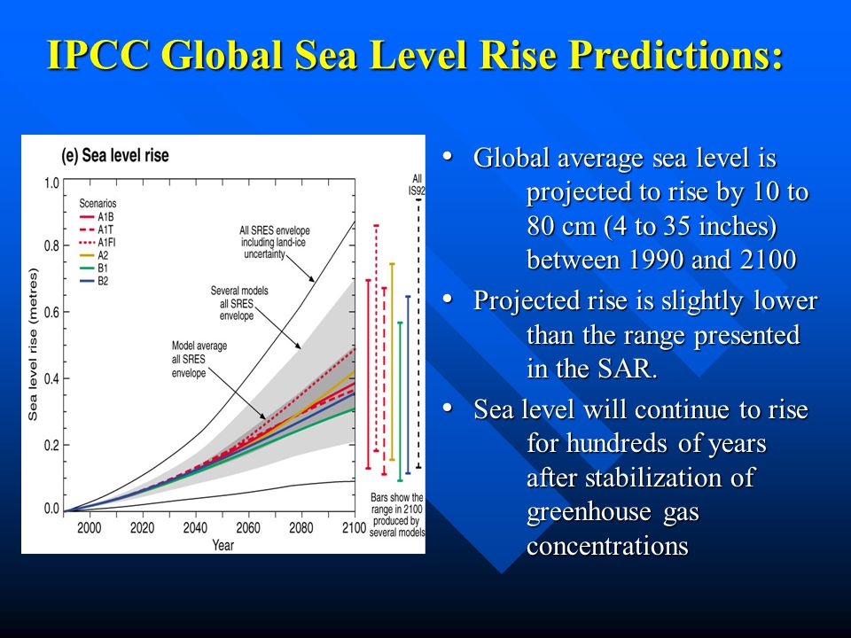 Global average sea level is projected to rise by 10 to 80 cm (4 to 35 inches) between 1990 and 2100 Global average sea level is projected to rise by 10 to 80 cm (4 to 35 inches) between 1990 and 2100 Projected rise is slightly lower than the range presented in the SAR.