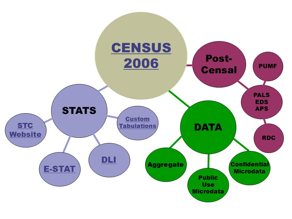 Post- Censal PALS EDS APS PUMF RDC STATS STC Website E-STAT Custom Tabulations DLI CENSUS 2006 DATA Public Use Microdata Aggregate Confidential Microdata
