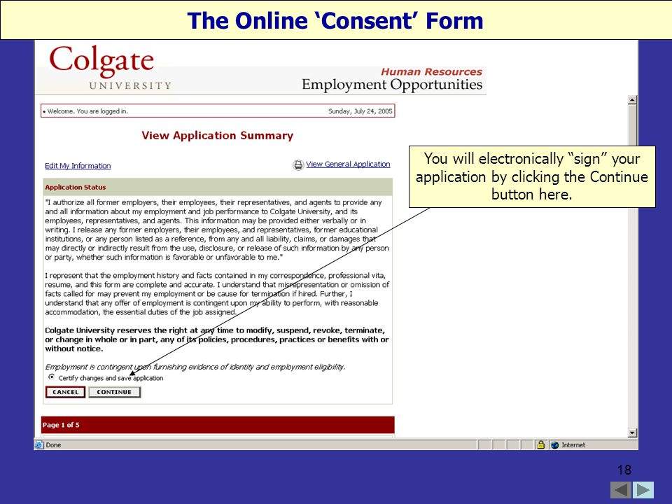 18 The Online ‘Consent’ Form You will electronically sign your application by clicking the Continue button here.