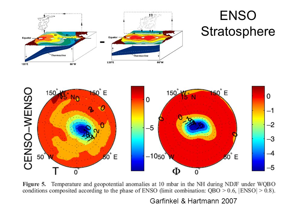 ENSO Stratosphere El Niño - Garfinkel & Hartmann 2007