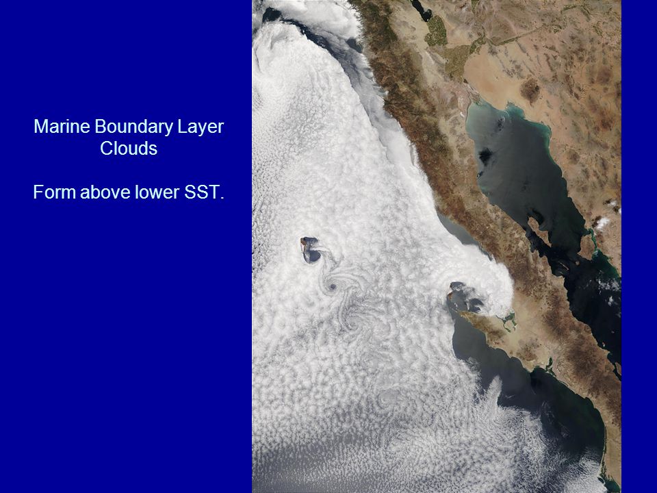 Marine Boundary Layer Clouds Form above lower SST.