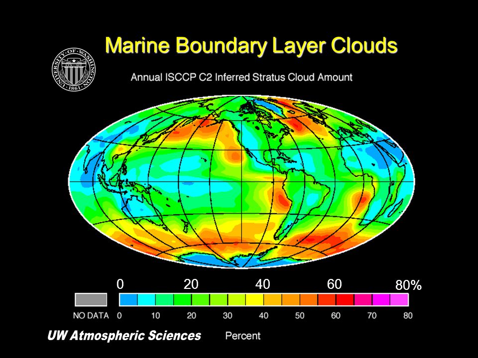 Marine Boundary Layer Clouds %