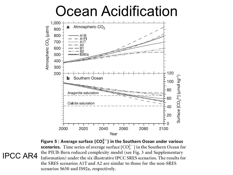 Ocean Acidification IPCC AR4